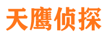 龙潭市调查公司